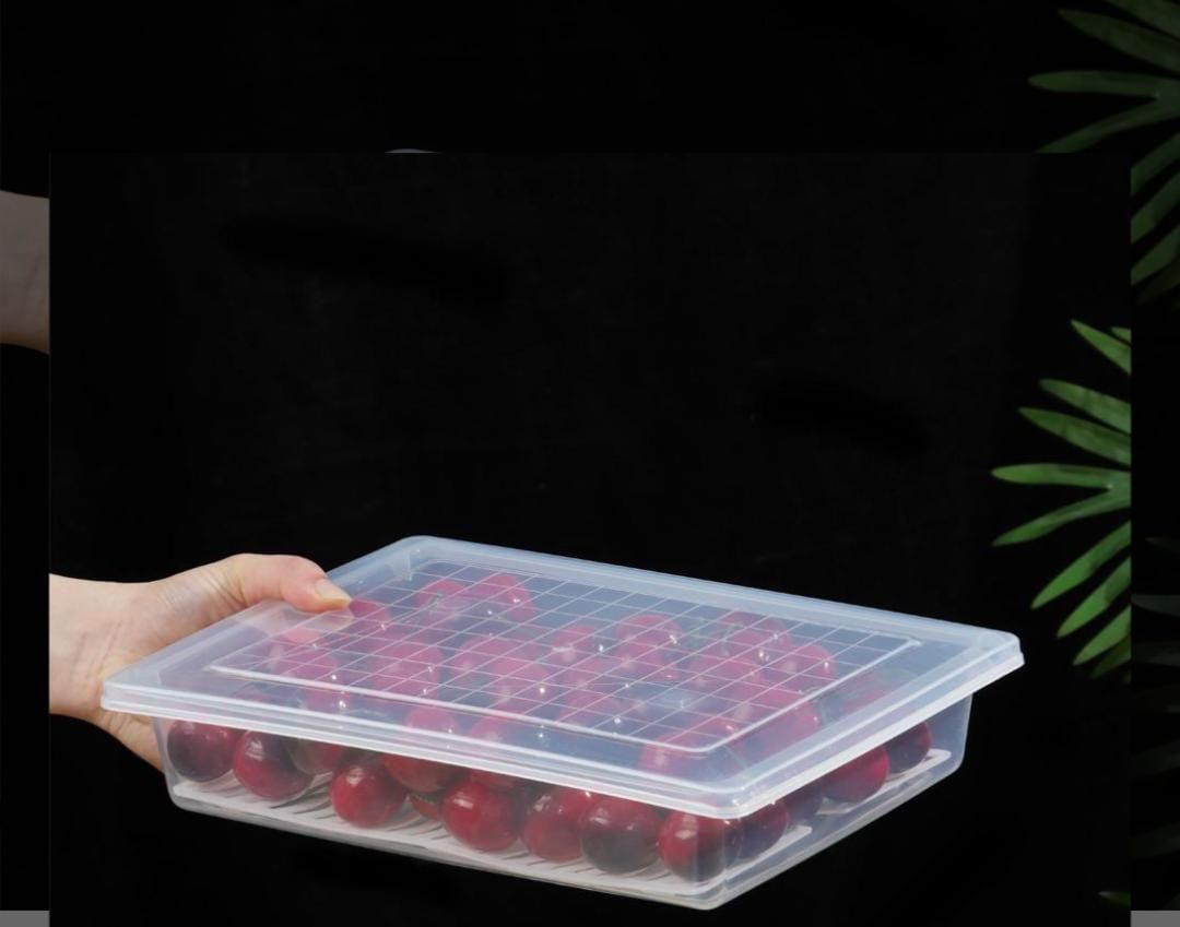 Fridge Storage Containers Box 28*20.5*5.5cm (Pack of 20)